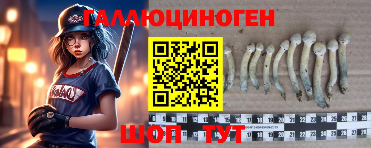 Галлюциногенные грибы Psilocybe Рязань