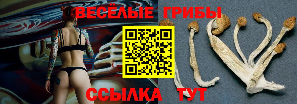 Псилоцибиновые грибы ЛСД  Псилоцибиновые грибы Psilocybine cubensis  Вход с VPN  Рязань 